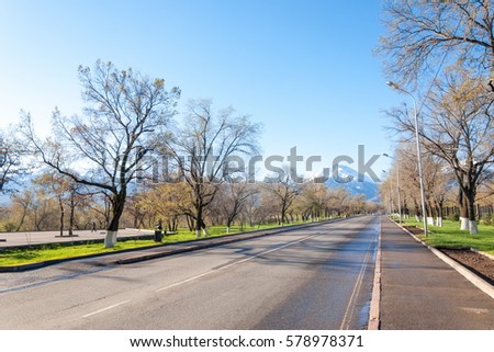 Kazakhstan, Dulati Street, Tien Shan Mountains, Early Spring. Trees without leaves. Bright sunny day