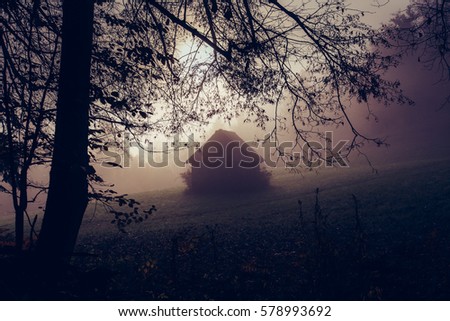 Spooky background with dark forest view with old house