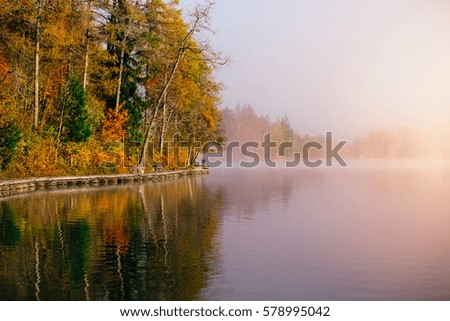 Beautiful relaxing morning scene with cristal clear water lake and wooden path in the fog. Bled, Slovenia, Europe.
