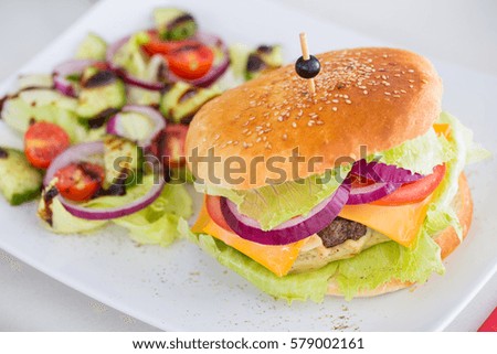 Tasty burger with fresh vegetables for lunch