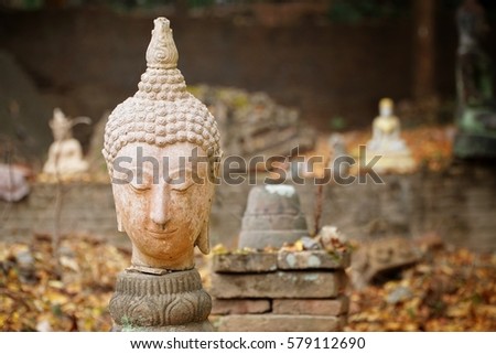 Head of statue Buddha close up at Wat Umong is a Theravada wat in Chiang Mai Province, Thailand.