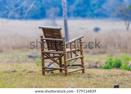 bamboo chair on the green grass