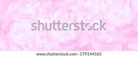 banner repeatable  pattern  scented fragrant trendy  pale pink peonies
