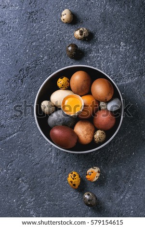 Brown and gray colored chicken and quail Easter eggs in black ceramic bowl with yolk over black concrete texture background. Top view, copy space
