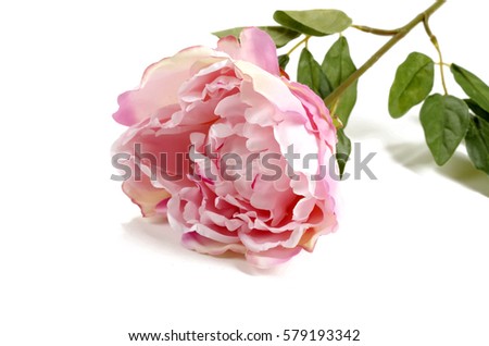 Artificial flowers for design and home decoration - peony isolated on white background