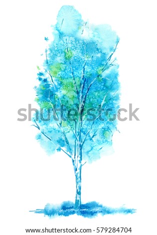 Birch. Forest tree. Watercolor hand drawn illustration.
