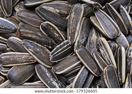 Sunflower seeds. Sunflower seed texture as background. Black and white roasted organic seeds. Food photography in studio.
