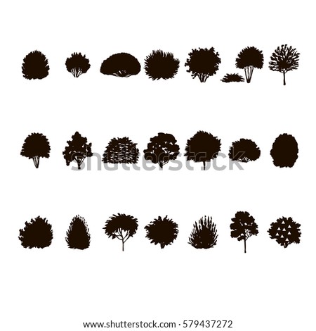  set of Trees and bushes silhouette  isolated on white backgorund. dendrology collection. graphic template. vector illustration.