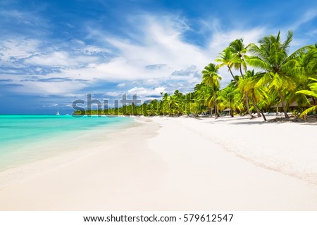 Coconut Palm trees on white sandy beach in Caribbean sea, Saona island. Dominican Republic Royalty-Free Stock Photo #579612547