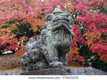 Autumn scenery in Kyoto, Japan. A lion statue in the rain at park.