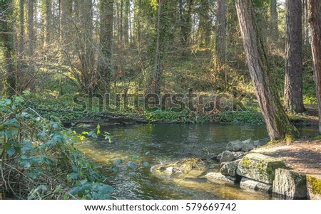 Colorful Dramatic Forest Park with tall Trees and River