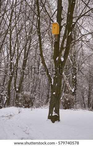 Birdhouse for birds on a tree in winter.                               