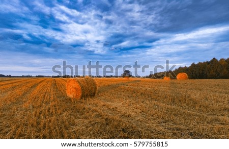 Sunset sky over field with straw bales. Beautiful landscape.