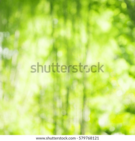 Tropical, vacation, summer blurred background with bokeh effect. Copy space.