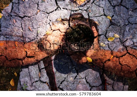 Abstract Photographer ready shutter on camera and idea Cracked ground concept