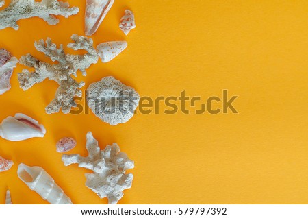 Flat lay with shells and corals on the orange paper background, travel concept