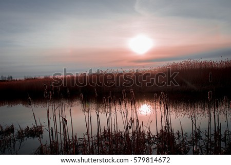fantastically beautiful sunset at the Baltic Sea, the golden reflection of the sun on the waves and romantic mood, multicolored background for your project, a perfect work of art