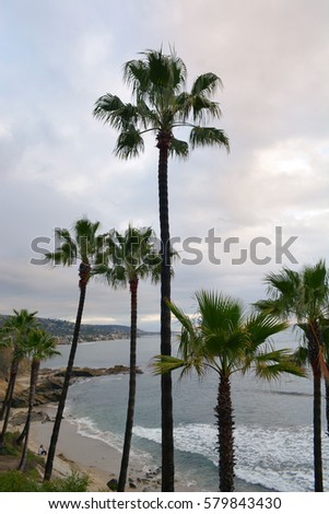 Beautiful nature and shore ocean view of Laguna Beach, Southern California 