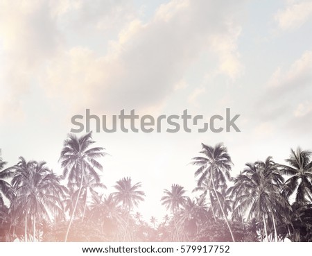 Tropical beach summer background with palm trees silhouette at sunset. Coconut palm trees at tropical coast with vintage effect. 