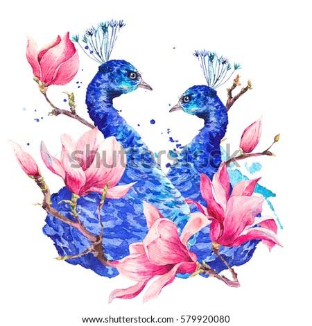 Watercolor Vintage Couple of Peacock with Flowers Magnolia, Twigs, Leaves and Feathers, Abstract natural bohemian watercolor illustration isolated on white background.