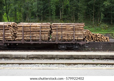 Logs on Freight train - Transportation