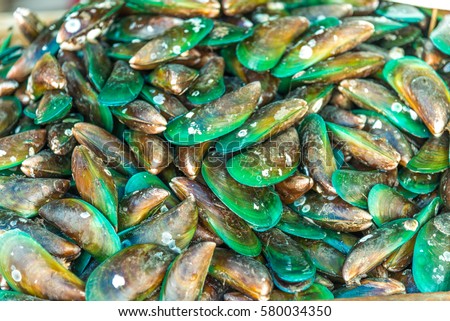Green mussel (Mytilus trossulus) shells picked at beach, Royalty-Free Stock Photo #580034350