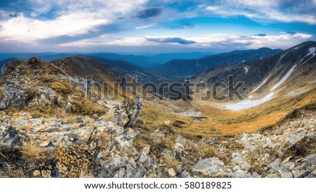 colorful summer landscape in mountains, beauty world