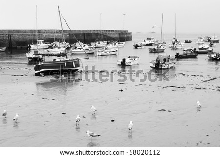 Monochrome picture of fishing boats in the port, Brittany, France