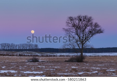 Raising Moon over Snowy Winter Fields