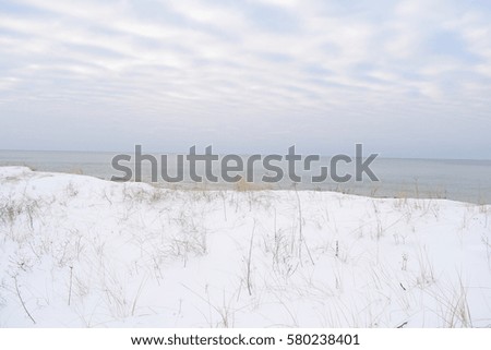 views of the snow near the sea in winter