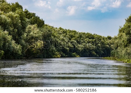 River Danube in Romania - Delta, plants and wild birds paradise, nature pure in a water world as seen from a motor boat. Beauty trip through the water ways.