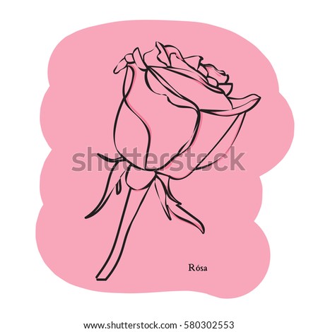  Vector illustration of hand drawn flower.