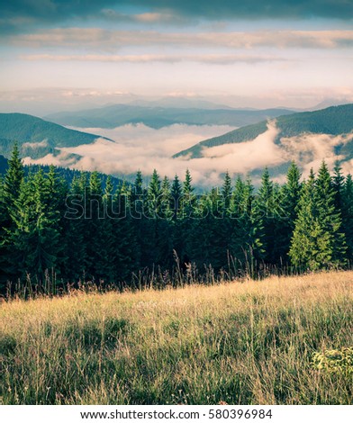 Foggy summer morning in the Carpathian mountains. Picturesque outdoor scene on the mountain valley in June, Ukraine, Tatariv village location, Europe. Instagram filter toned.