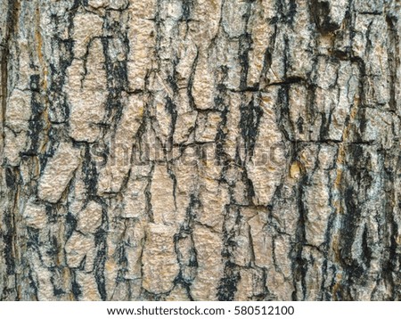 texture Bark