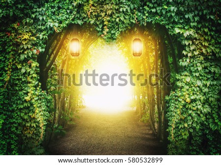 Heart road in a fantasy forest with magic light Royalty-Free Stock Photo #580532899