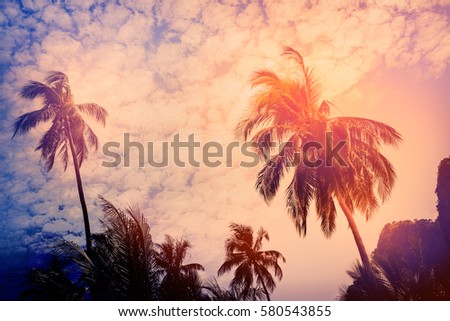 Silhouette coconut palm trees with sun light on sunset sky background. Travel concept. Photo from Kabi, Thailand. Vintage colors and boost up color processing.