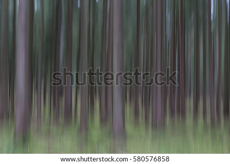 abstract mtion of trees in fall