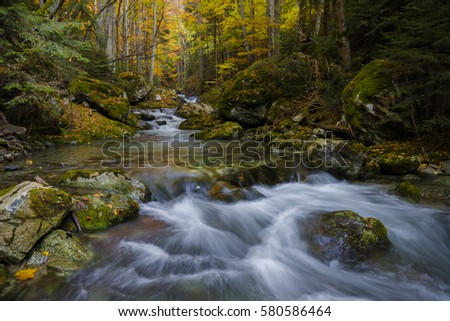 Magically coloful autumn in a wild old forest park with a pure stream cascading down the mountain.