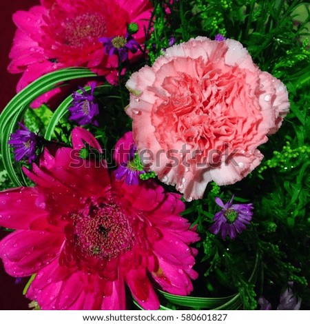 Close up bouquet of colorful fresh flowers with red carnation
