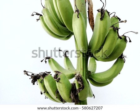 Closeup green banana isolate on white background