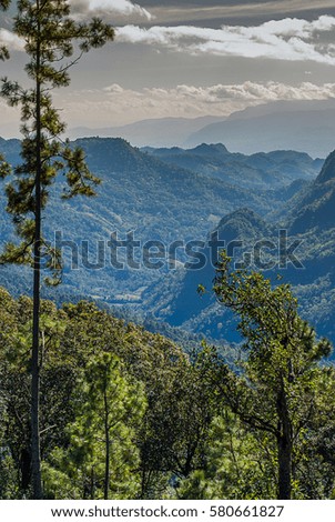 Mountain view through the trees.