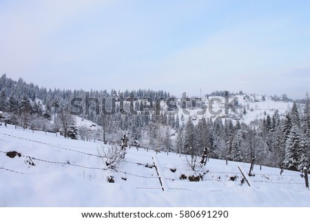 The mountains in winter. Carpathians
