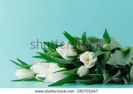 Bunch of white tulips lay on plain aquamarine background