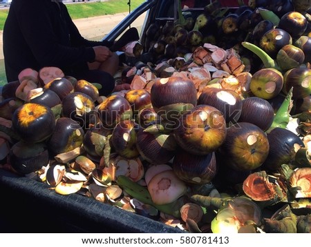 Sugar palm fruit. Sale on the pickup car