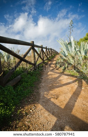 preserve nature: scenic colorful view on atlantic ocean with wild tropical vegetation of succulents cactus and aloes, walking on a path with wooden fence and enjoying fresh air in algarve, portugal