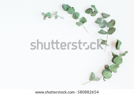 Frame made of eucalyptus branches on white background. Flat lay, top view, mock up. Royalty-Free Stock Photo #580882654