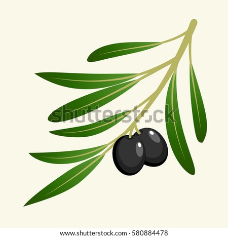 vector olive branch