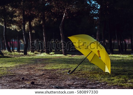 Umbrella yellow