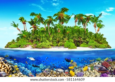 Tropical island within atoll in tropical Ocean and wonderful and beautiful underwater world with corals and tropical fish.