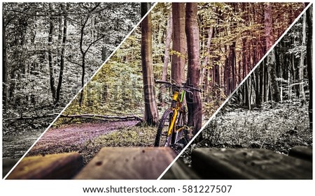 Bike on a forest trail in the rainy morning, artwork.